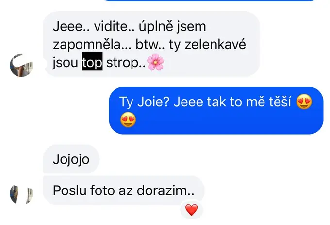 Screenshot zprávy od zákaznice